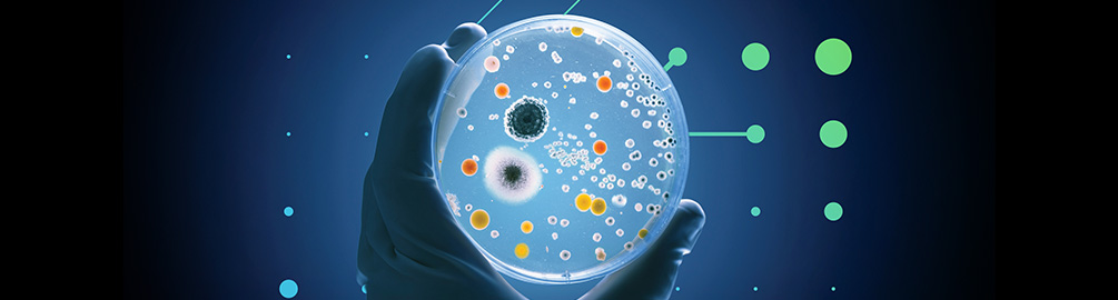 Image cannot be displayed